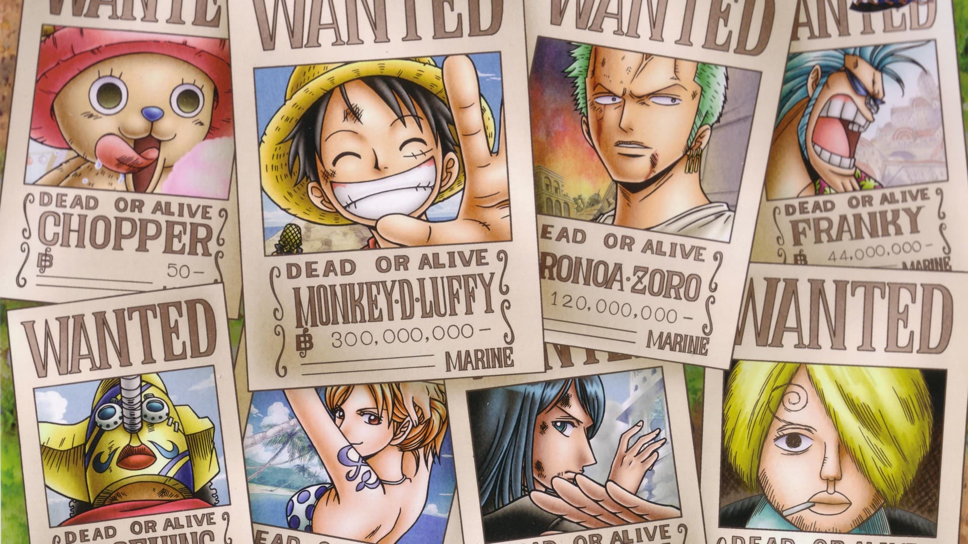 The Philosophy of One Piece